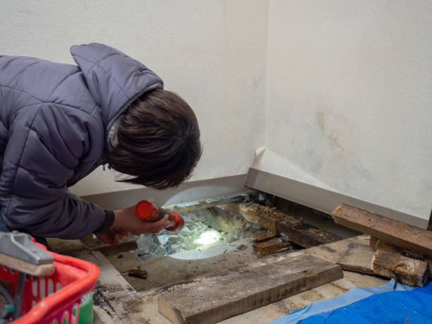 Best Crawl Space Mold Remediation  in Silver Bay, MN
