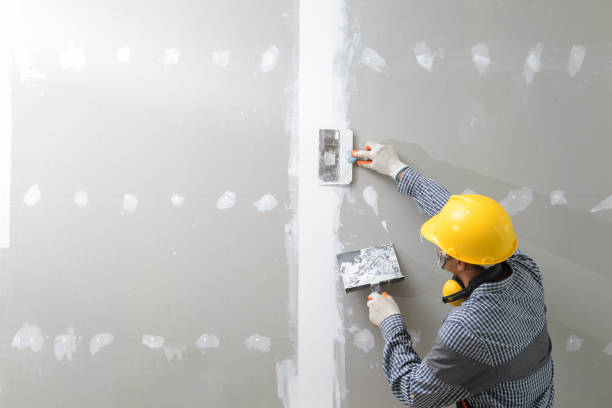 Best Mold Remediation for Healthcare Facilities  in Silver Bay, MN