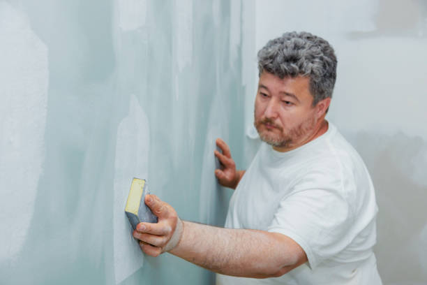 Best Asbestos and Lead Testing During Mold Inspection  in Silver Bay, MN