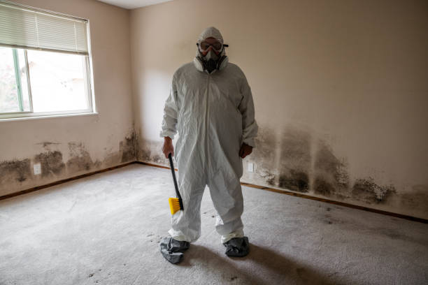Mold Remediation for Rental Properties in Silver Bay, MN