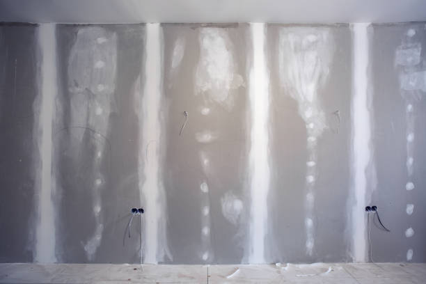 Professional Mold Removal in Silver Bay, MN
